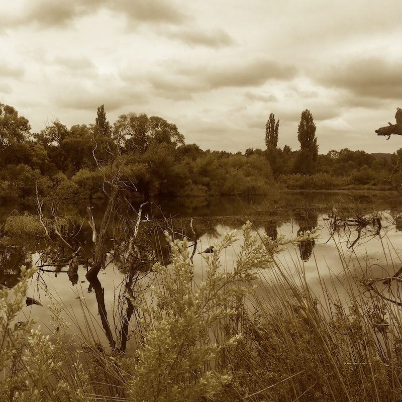 history-spenco-landing-right-side-sepia